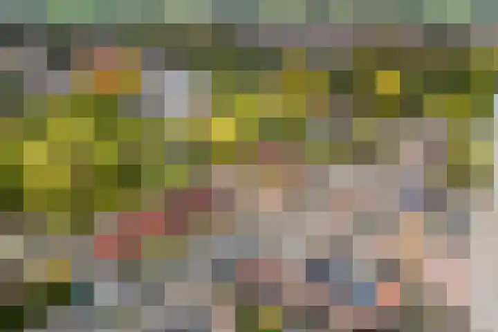 Eiberhof 8 Hardenberg thumbnail 55