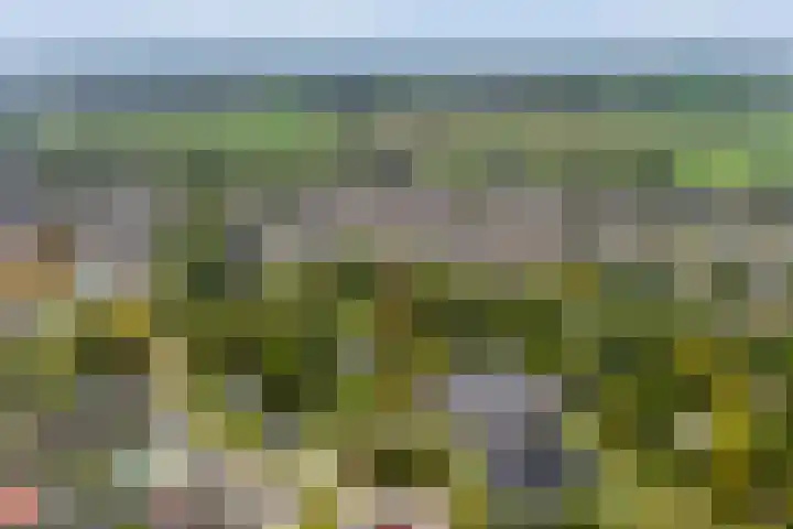 Eiberhof 8 Hardenberg thumbnail 56