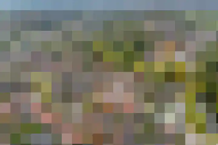 Eiberhof 8 Hardenberg thumbnail 57