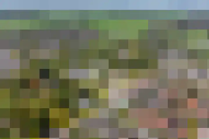 Eiberhof 8 Hardenberg thumbnail 58