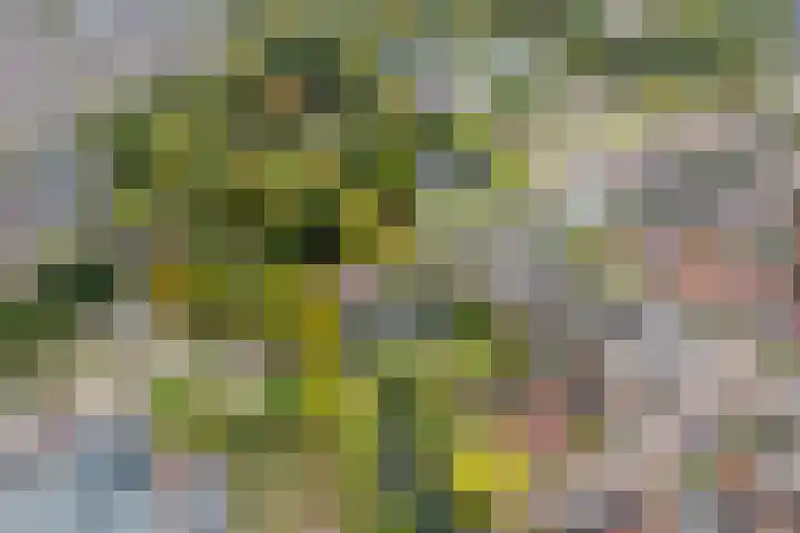 Eiberhof 8 Hardenberg thumbnail 59
