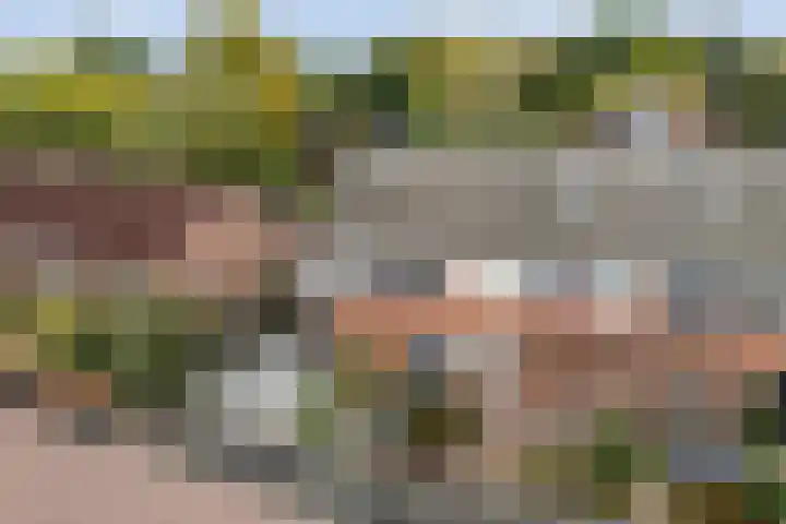 Eiberhof 8 Hardenberg thumbnail 6