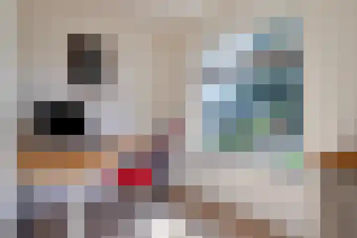Eiberlaan 15 Hoevelaken thumbnail 21