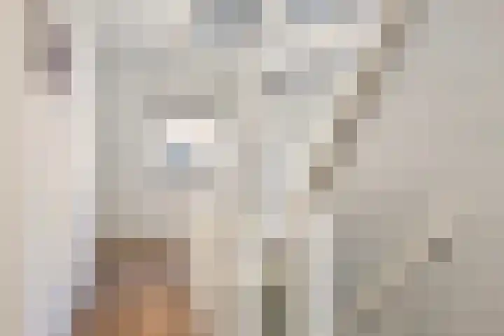 Eiberlaan 15 Hoevelaken thumbnail 25