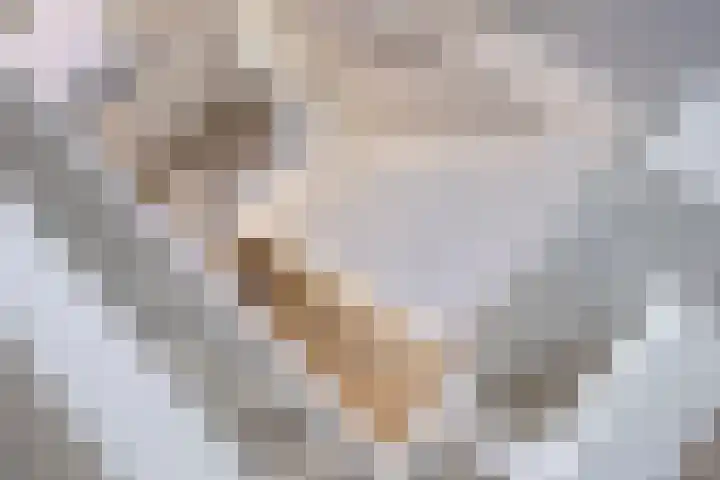 Eiberlaan 15 Hoevelaken thumbnail 29