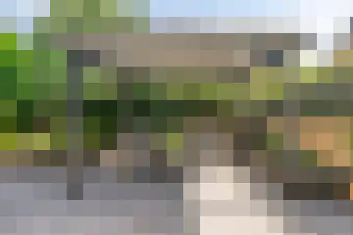 Eiberlaan 15 Hoevelaken thumbnail 33