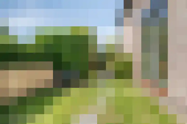 Eiberlaan 15 Hoevelaken thumbnail 34
