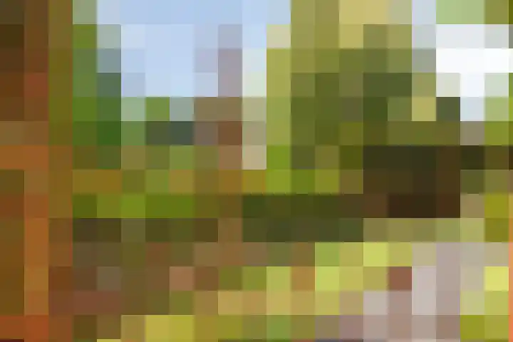 Eiberlaan 15 Hoevelaken thumbnail 35