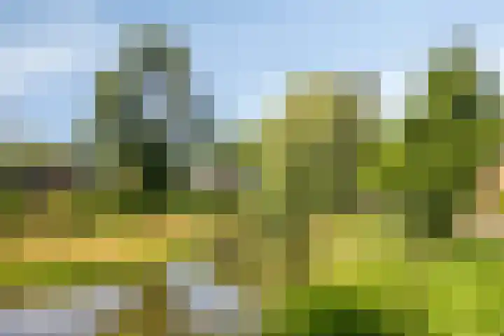 Eiberlaan 15 Hoevelaken thumbnail 41