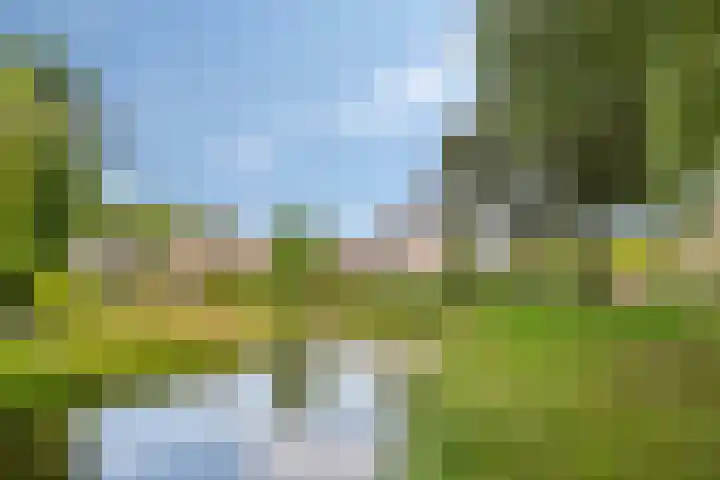 Eiberlaan 15 Hoevelaken thumbnail 42
