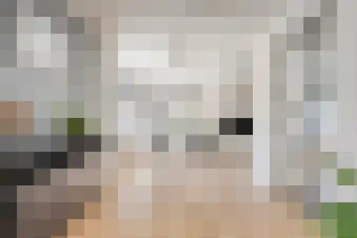 Eiberlaan 15 Hoevelaken thumbnail 5