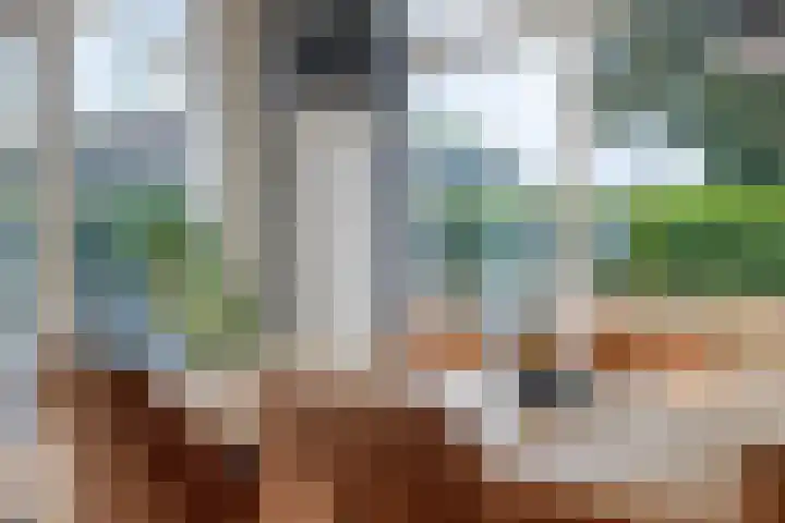 Eiberlaan 15 Hoevelaken thumbnail 8
