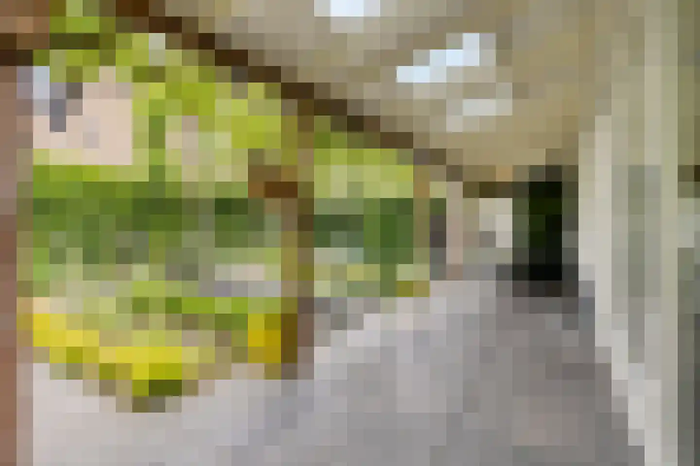 Eiberlaan 20 Hoevelaken thumbnail 22