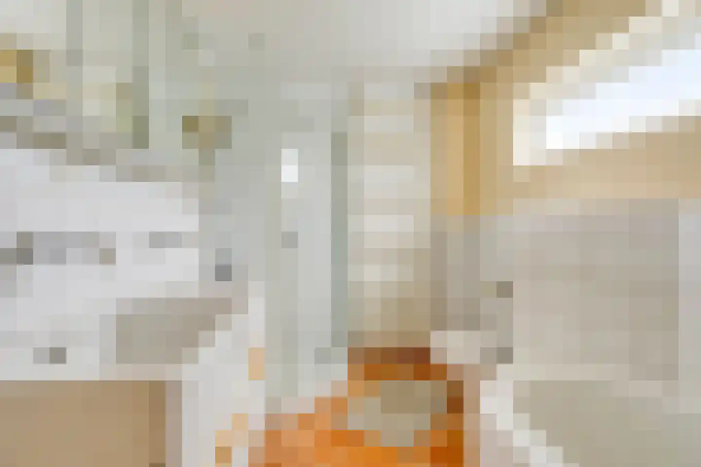 Eiberlaan 20 Hoevelaken thumbnail 30