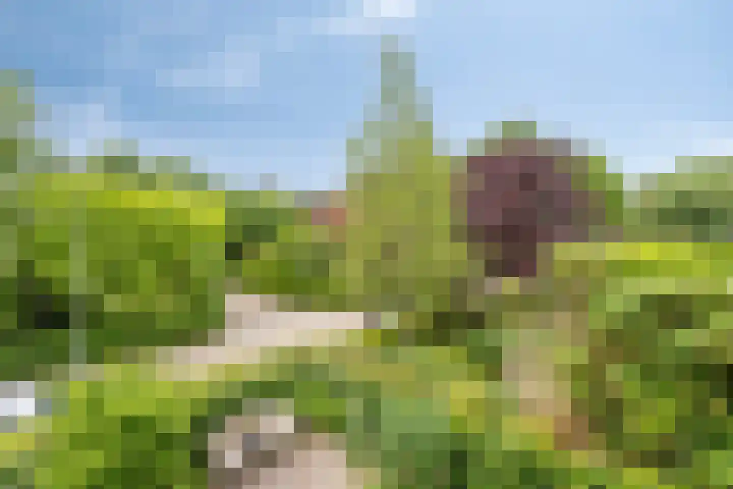 Eiberlaan 20 Hoevelaken thumbnail 36