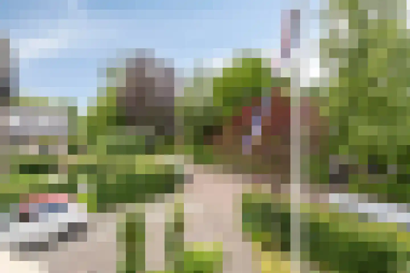 Eiberlaan 20 Hoevelaken thumbnail 4