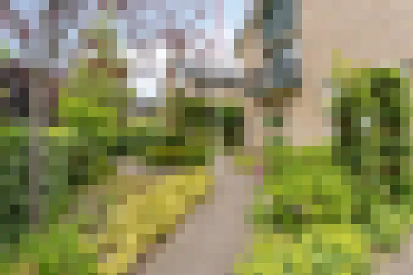 Eiberlaan 20 Hoevelaken thumbnail 52