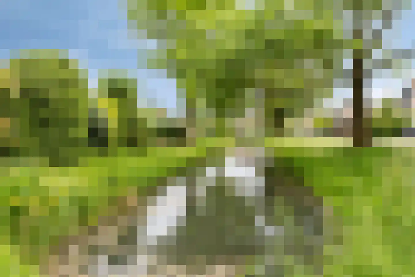 Eiberlaan 20 Hoevelaken thumbnail 56