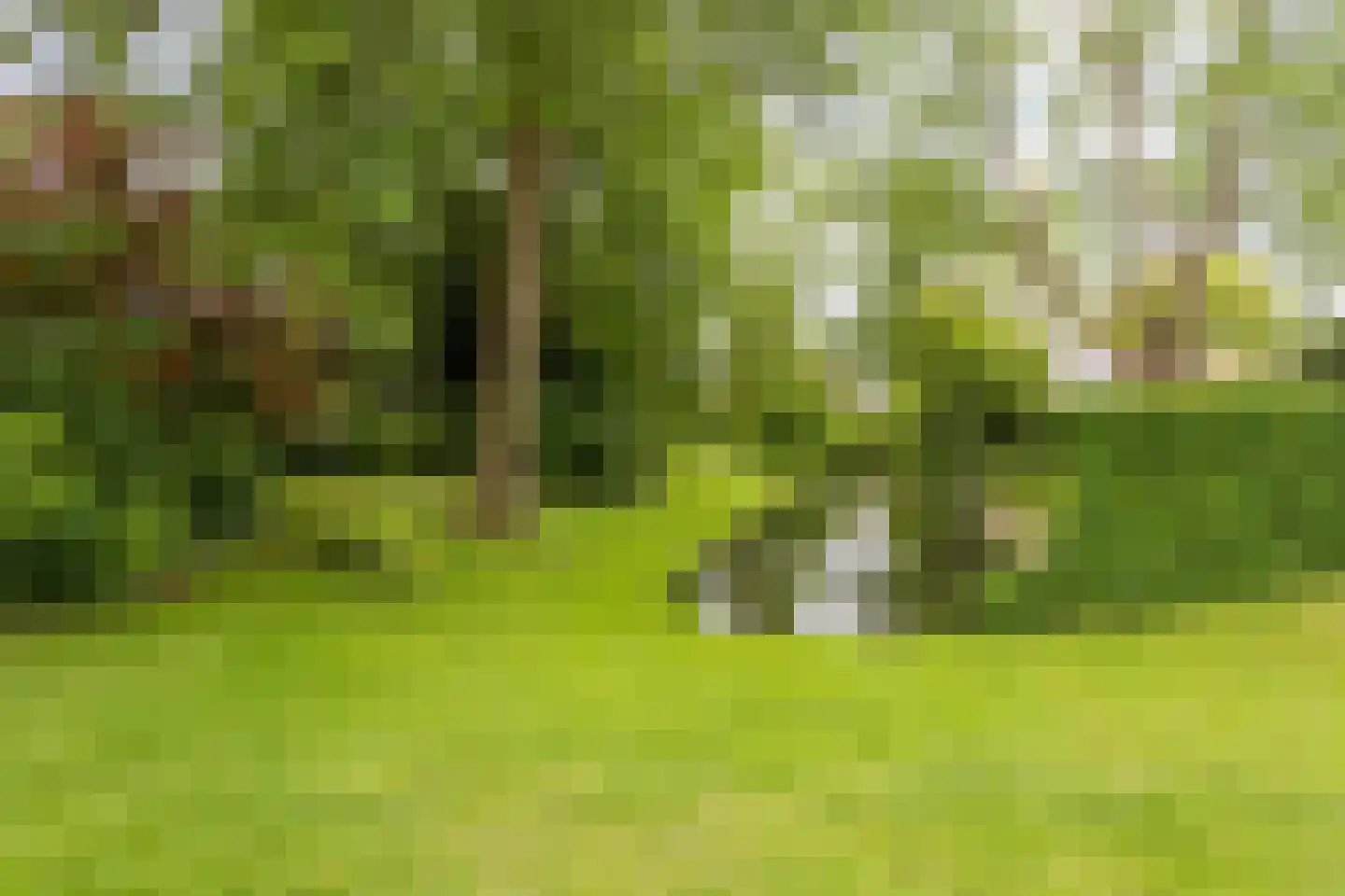 Eiberlaan 20 Hoevelaken thumbnail 57