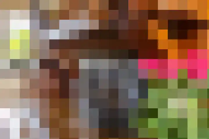 Eiberlaan 54 Foxhol thumbnail 16