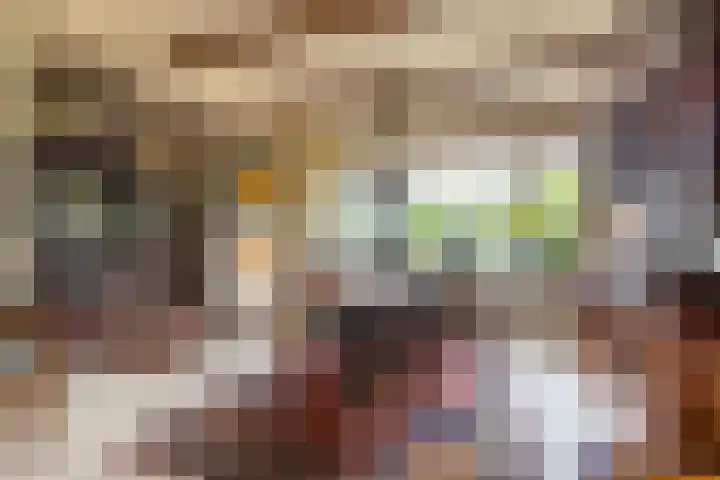 Eiberlaan 54 Foxhol thumbnail 17