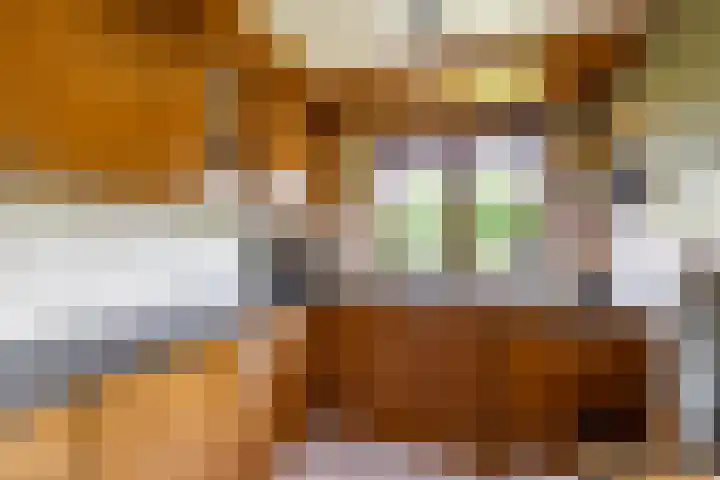 Eiberlaan 54 Foxhol thumbnail 21