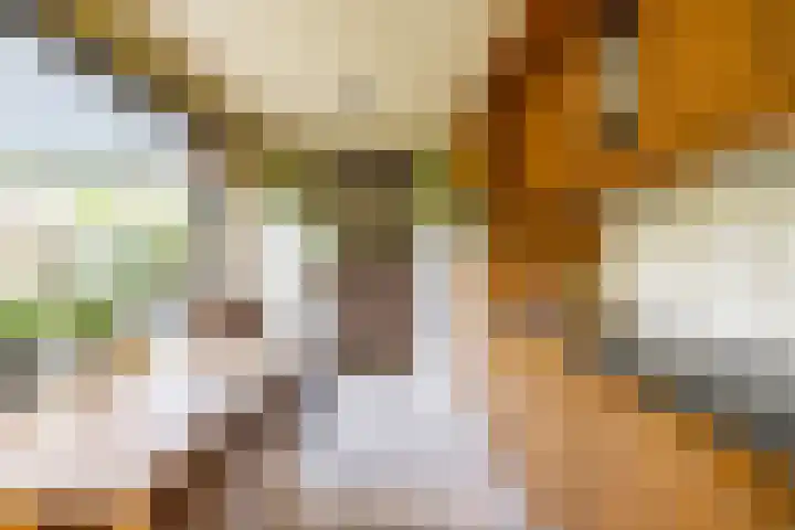 Eiberlaan 54 Foxhol thumbnail 22