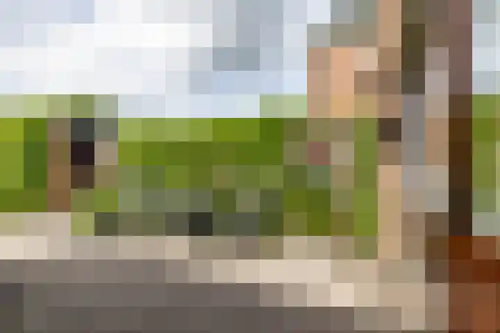 Eiberlaan 54 Foxhol thumbnail 24