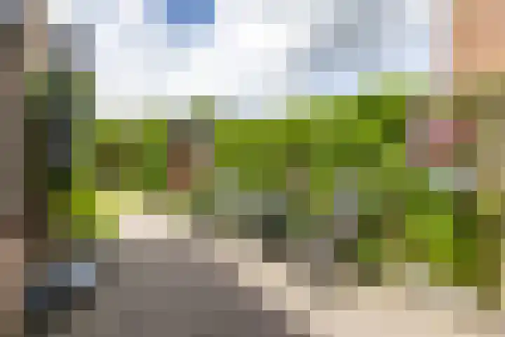Eiberlaan 54 Foxhol thumbnail 25