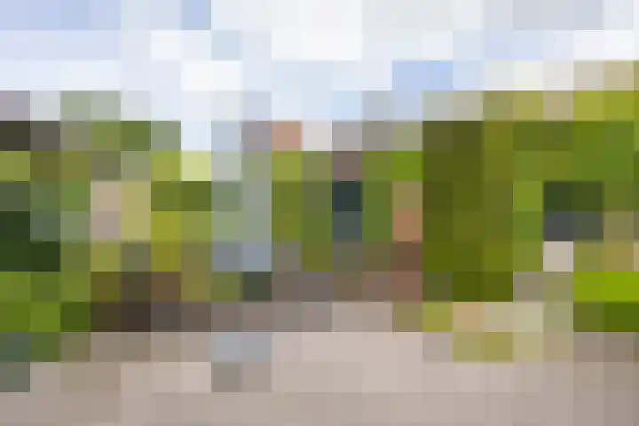 Eiberlaan 54 Foxhol thumbnail 26