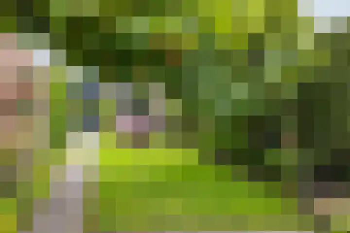 Eiberlaan 54 Foxhol thumbnail 27