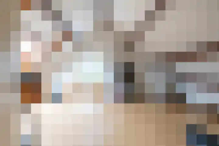 Eiberlaan 54 Foxhol thumbnail 43