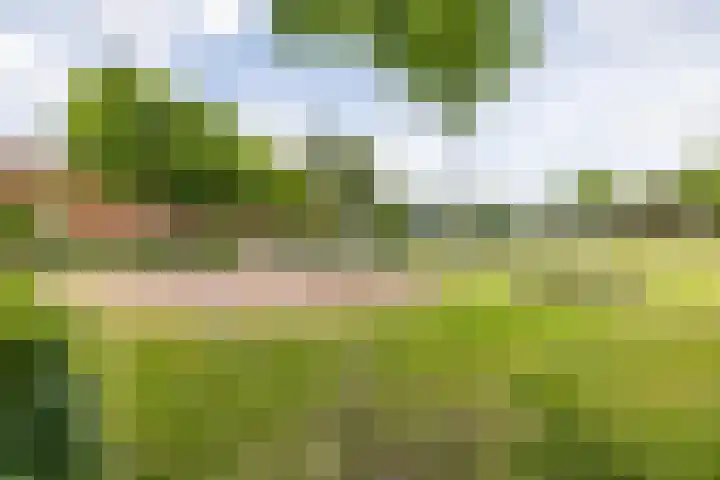 Eiberlaan 54 Foxhol thumbnail 47