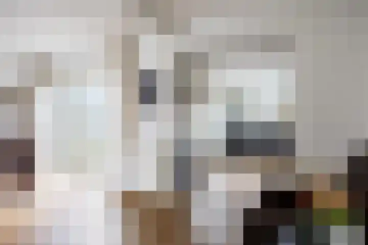 Eiberlaan 56 Foxhol thumbnail 10