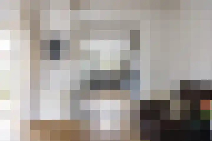 Eiberlaan 56 Foxhol thumbnail 11
