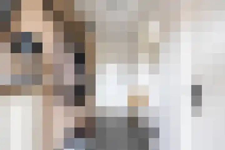 Eiberlaan 56 Foxhol thumbnail 16