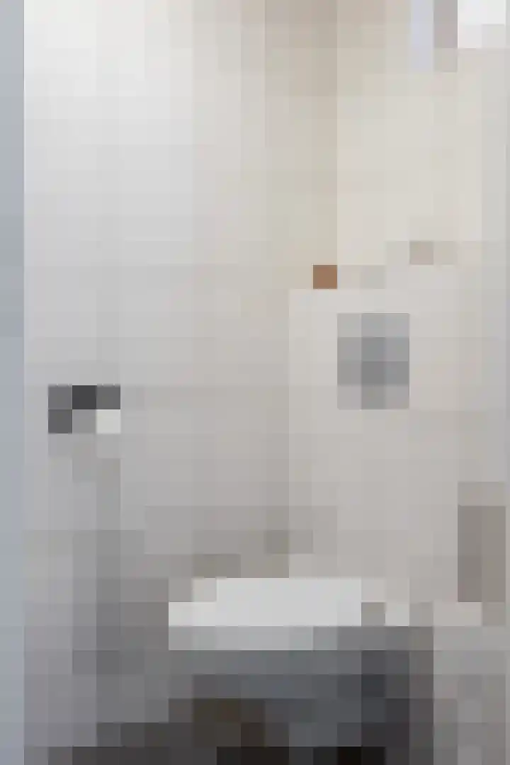 Eiberlaan 56 Foxhol thumbnail 18