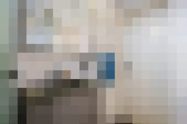 Eiberlaan 56 Foxhol thumbnail 29