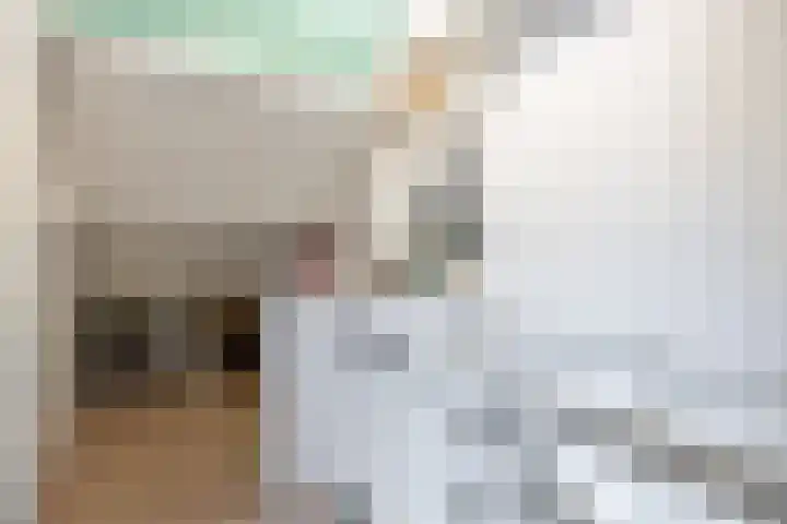 Eiberlaan 56 Foxhol thumbnail 31
