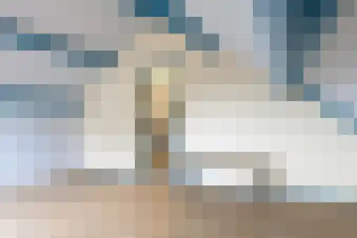 Eiberlaan 56 Foxhol thumbnail 33