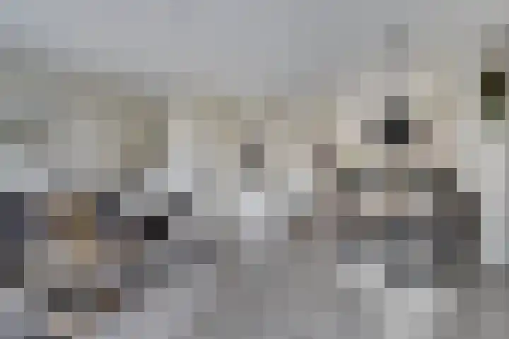 Eiberoord 10 Leiden thumbnail 10