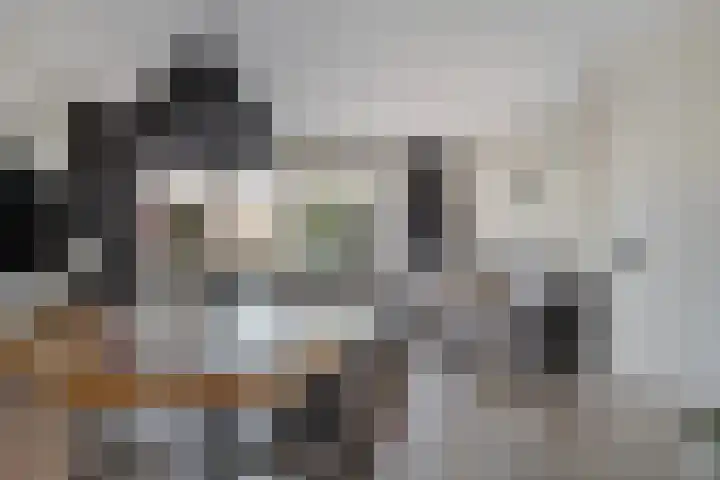 Eiberoord 10 Leiden thumbnail 11
