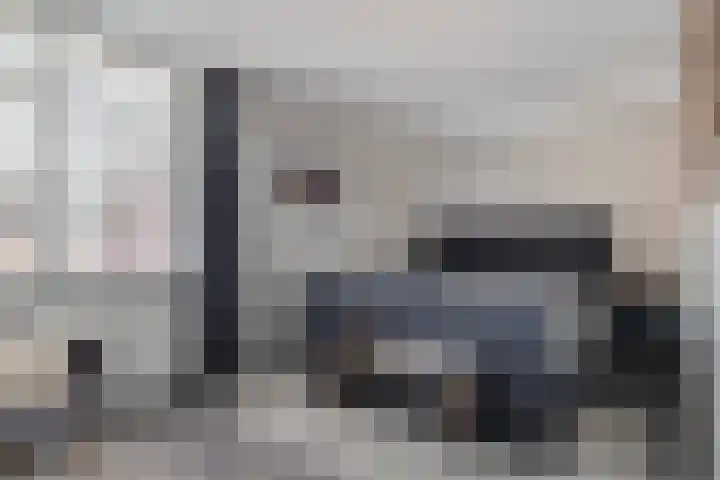 Eiberoord 10 Leiden thumbnail 16