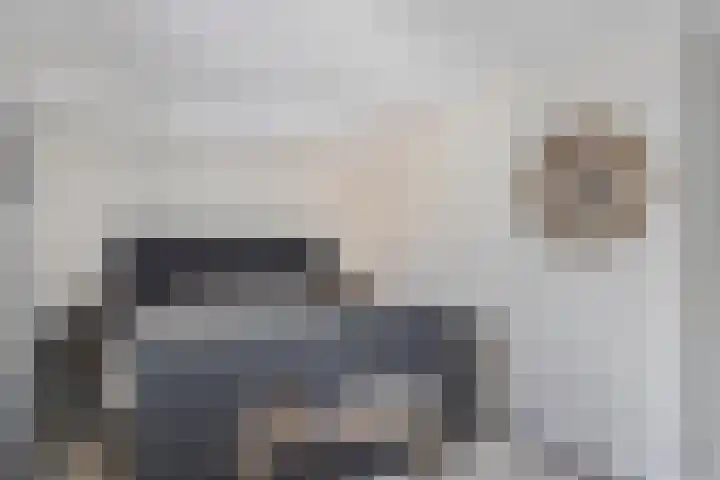 Eiberoord 10 Leiden thumbnail 17