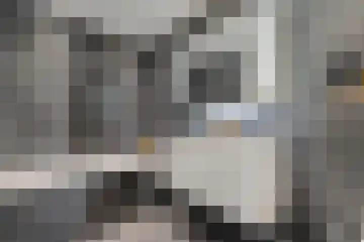 Eiberoord 10 Leiden thumbnail 18