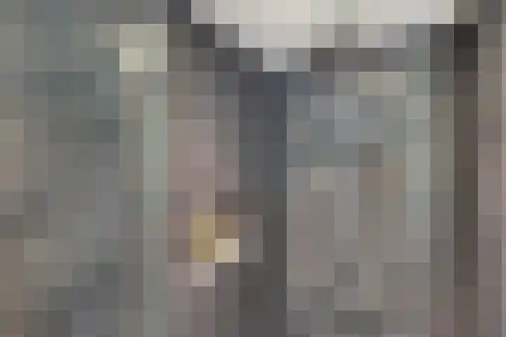 Eiberoord 10 Leiden thumbnail 20