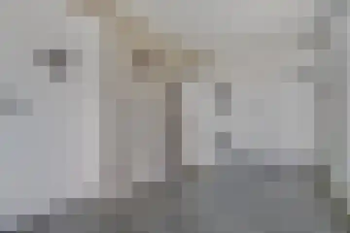 Eiberoord 10 Leiden thumbnail 23