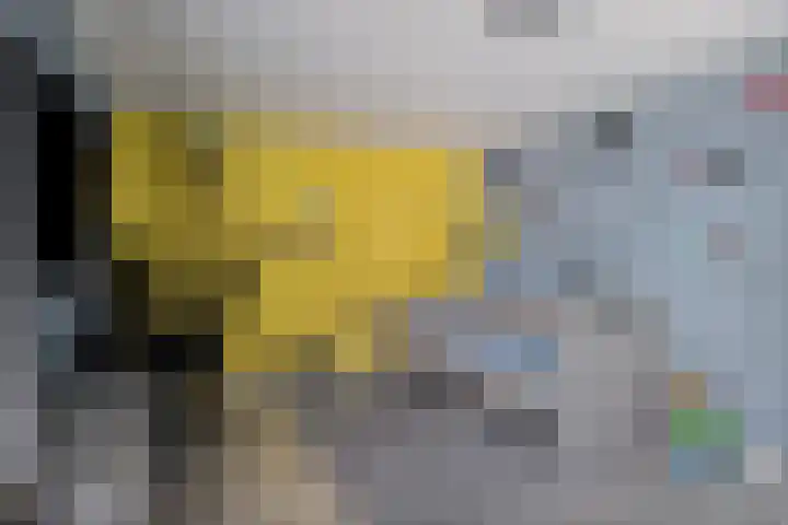 Eiberoord 10 Leiden thumbnail 24
