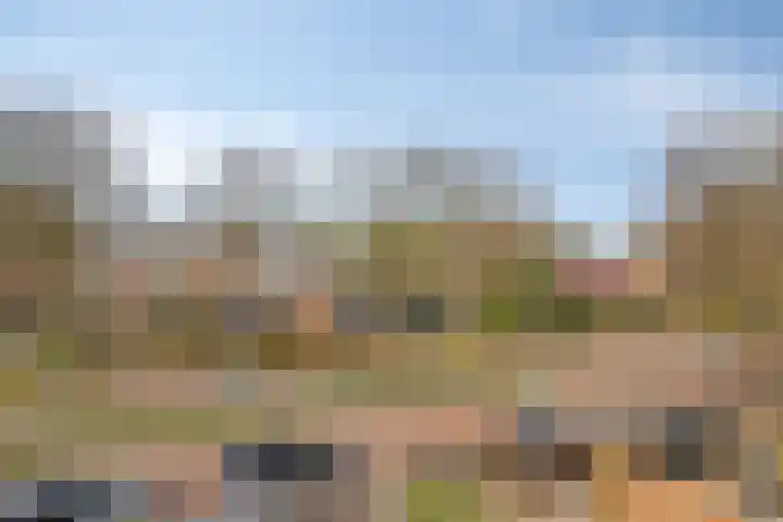 Eiberoord 10 Leiden thumbnail 28