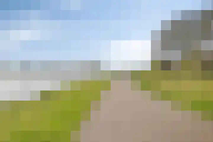 Eiberoord 10 Leiden thumbnail 29